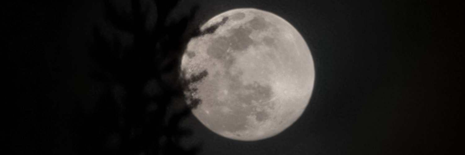 AliDorosti's profile banner image