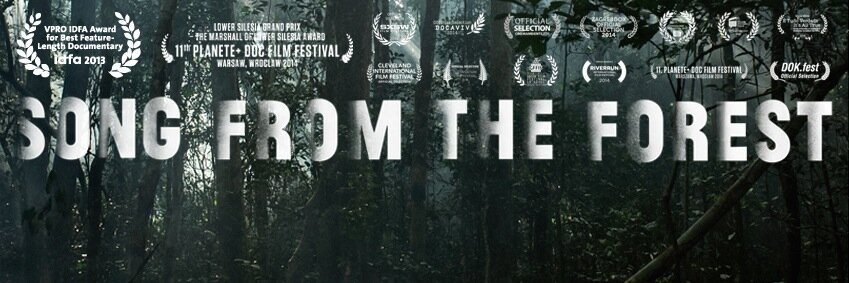 songftforest's profile banner image