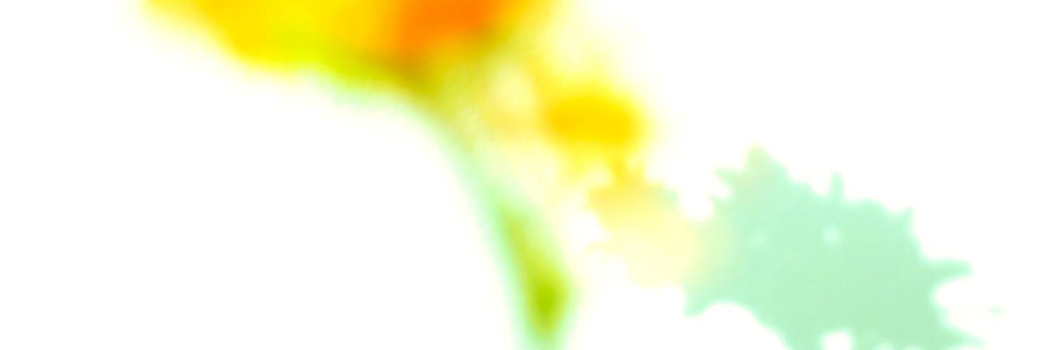 feyzar's profile banner image