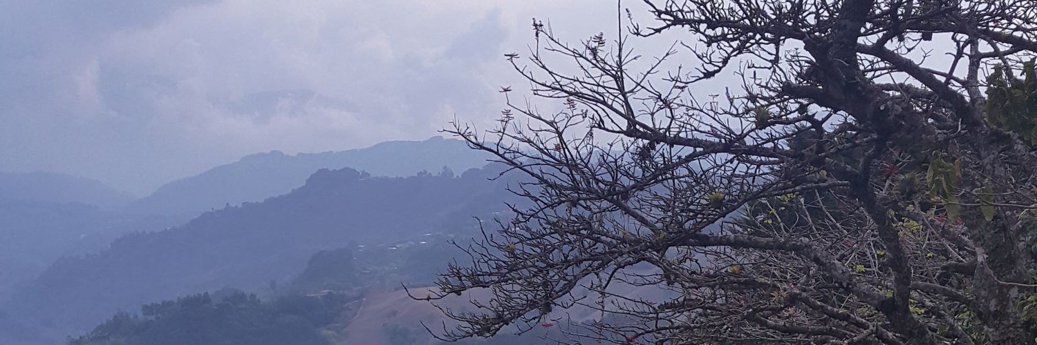 monifdezr's profile banner image