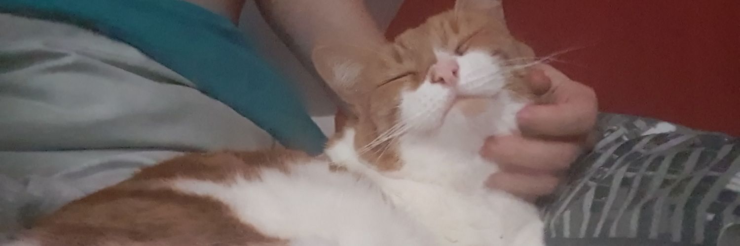 CodyWasYes's profile banner image