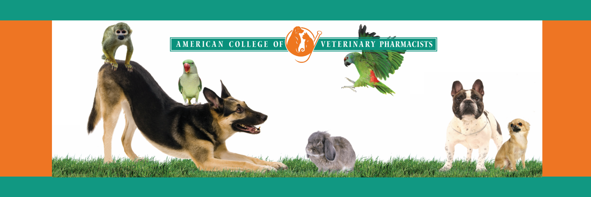 ACVPOrg's profile banner image