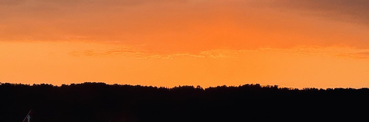770558733's profile banner image