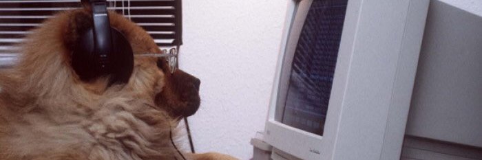succwagon's profile banner image