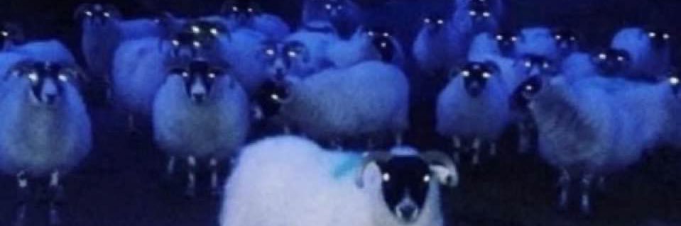 RobSPow's profile banner image