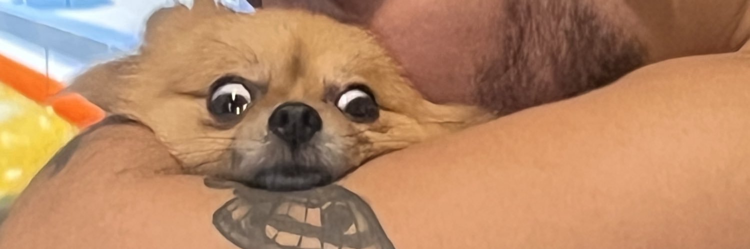 lehonorioo's profile banner image