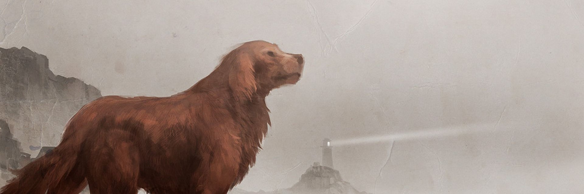 Amoss_jr's profile banner image