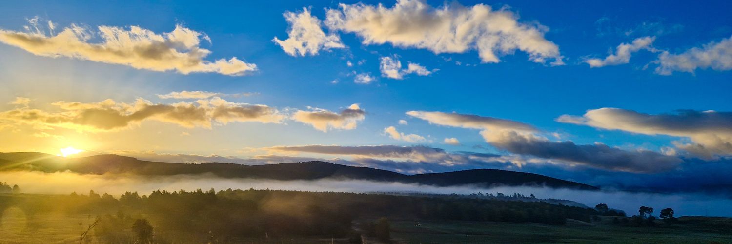 Emma_Connors_'s profile banner image