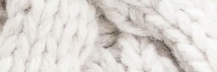 Brittle_Sticks's profile banner image