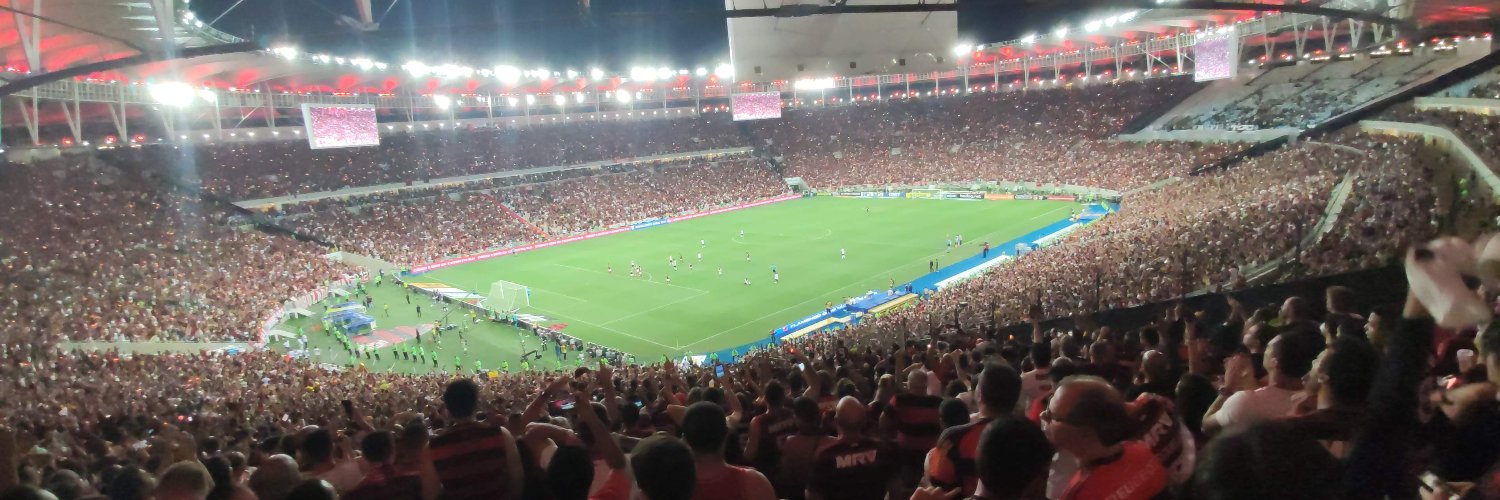 feliperauer's profile banner image