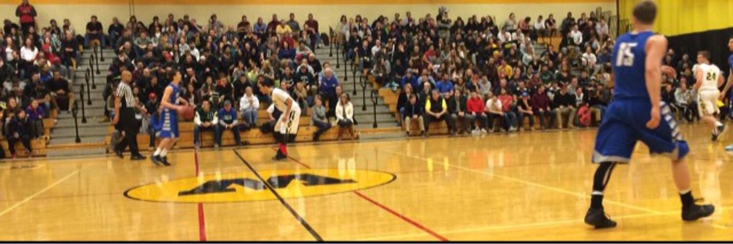 Wentworth Basketball banner