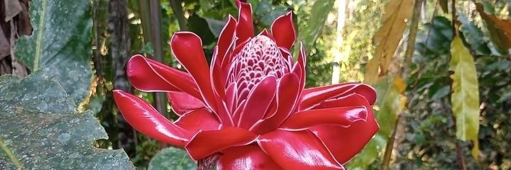 betyrocio's profile banner image