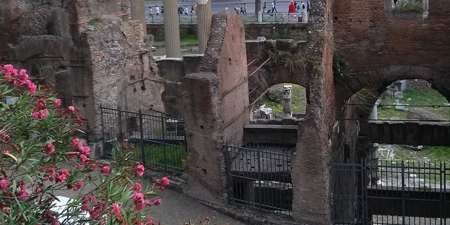 Miroma80's profile banner image