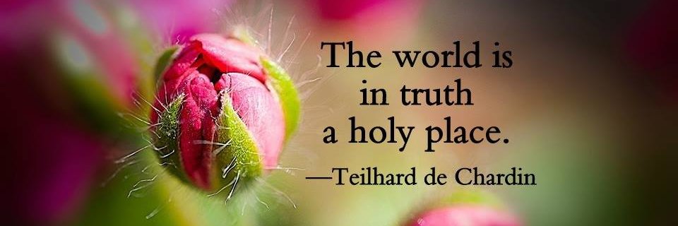 Tex Jude Gérard Albert banner