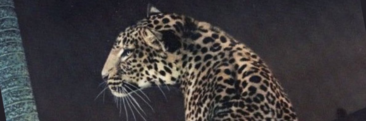 Areenhamza93's profile banner image