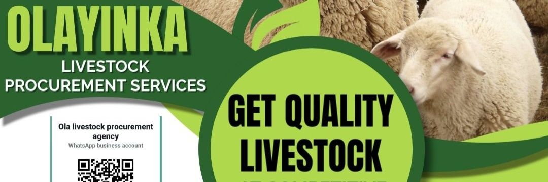 O L A Y I N K A banner