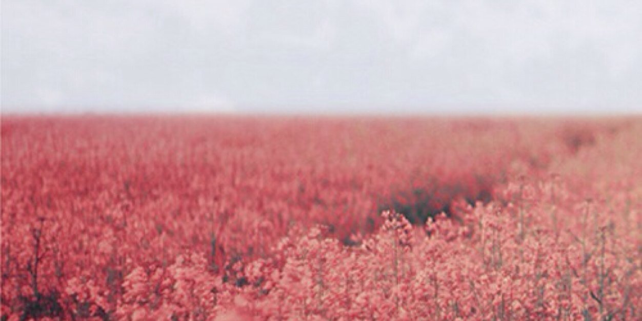cheramsgdr's profile banner image