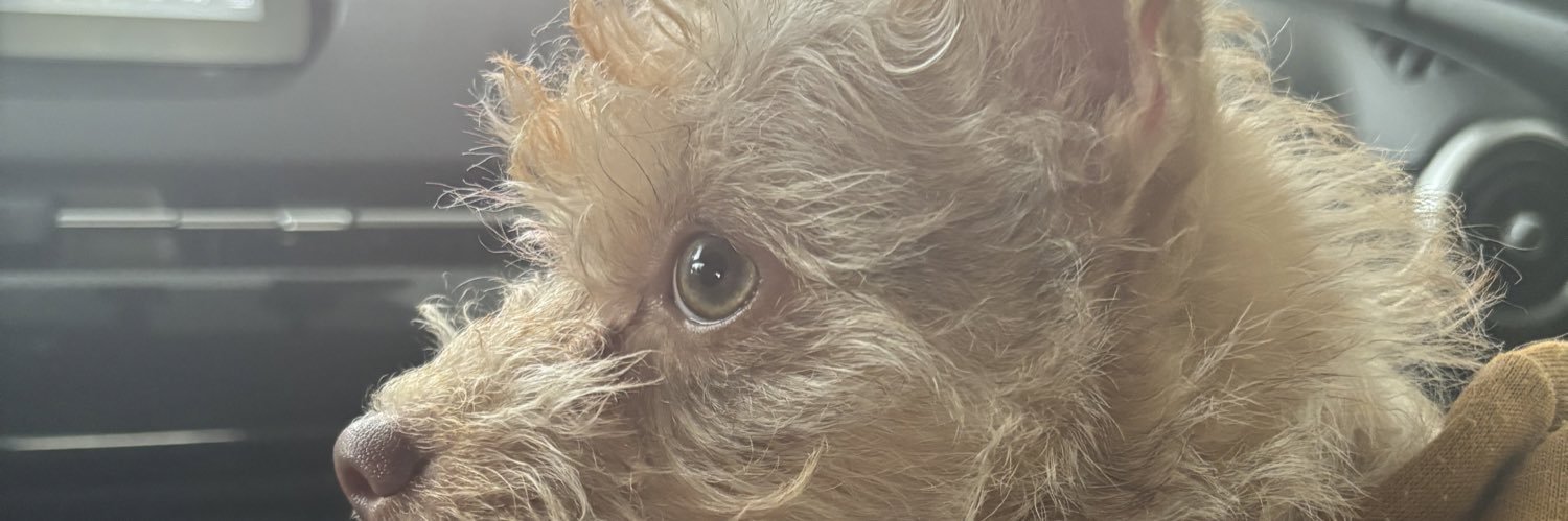Sofyy_dmc's profile banner image
