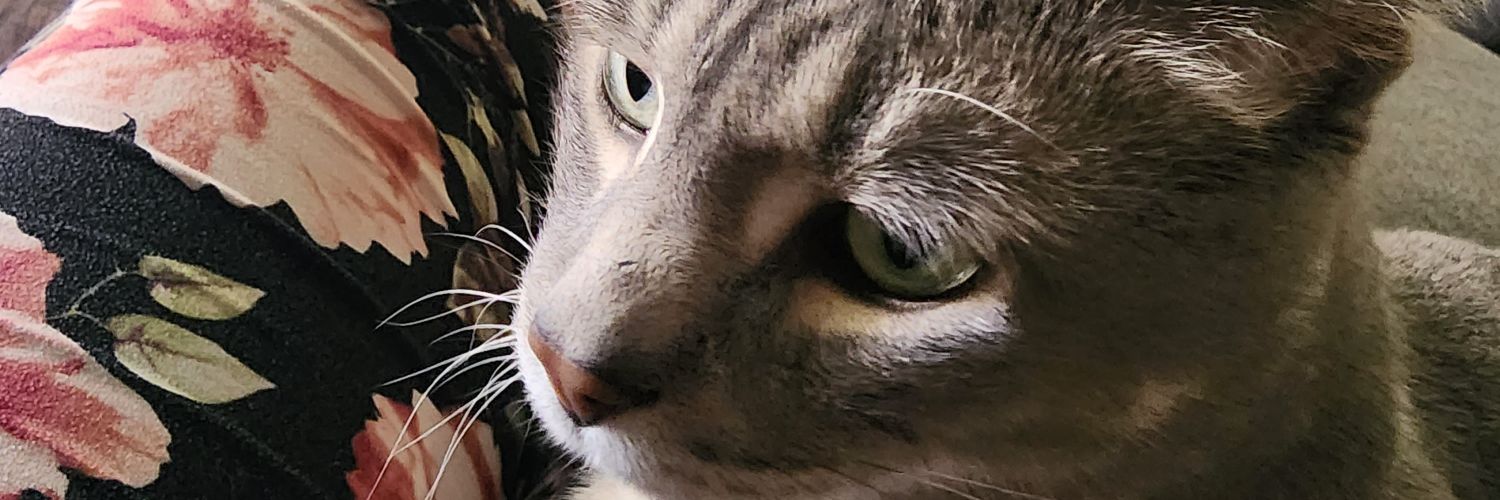 RadiationQueen's profile banner image