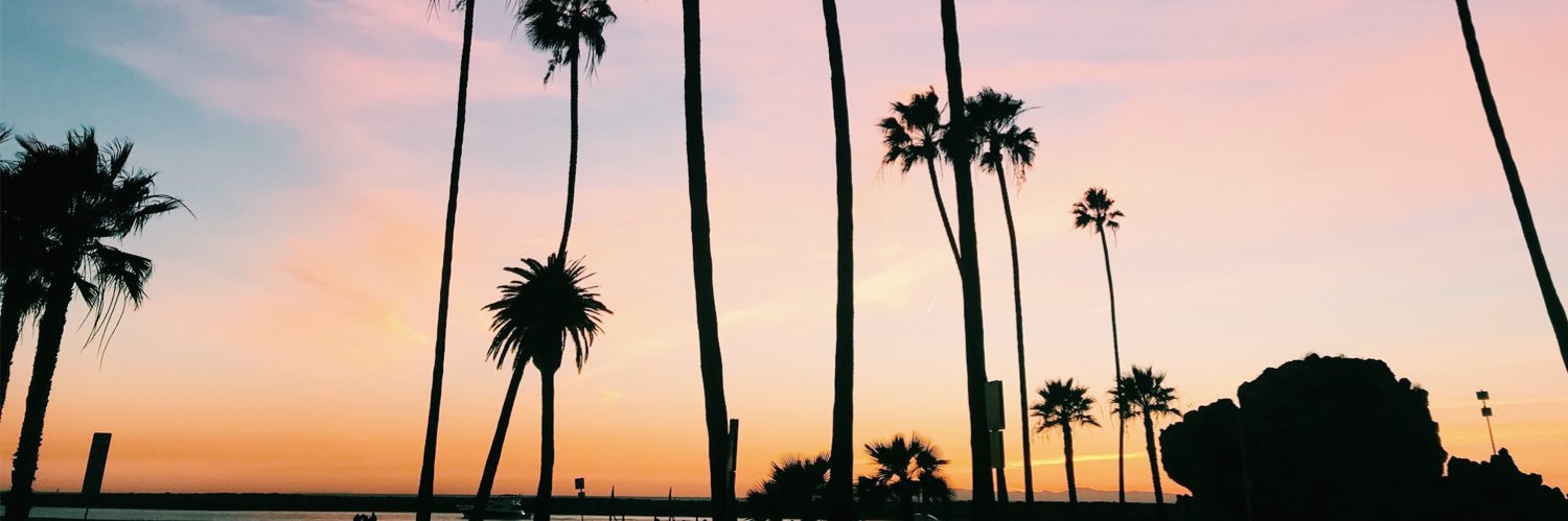 stephjoynt's profile banner image