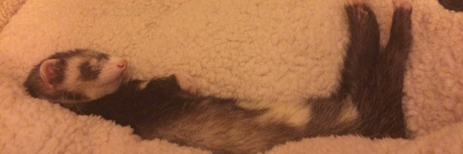 lerdzerp's profile banner image