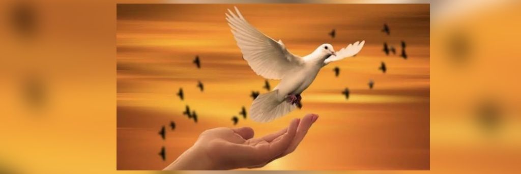prasanthi132's profile banner image