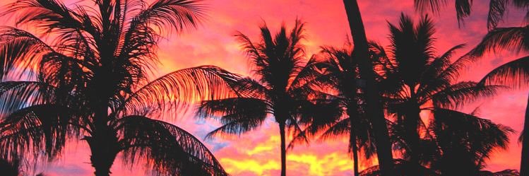 SimonaRositano's profile banner image