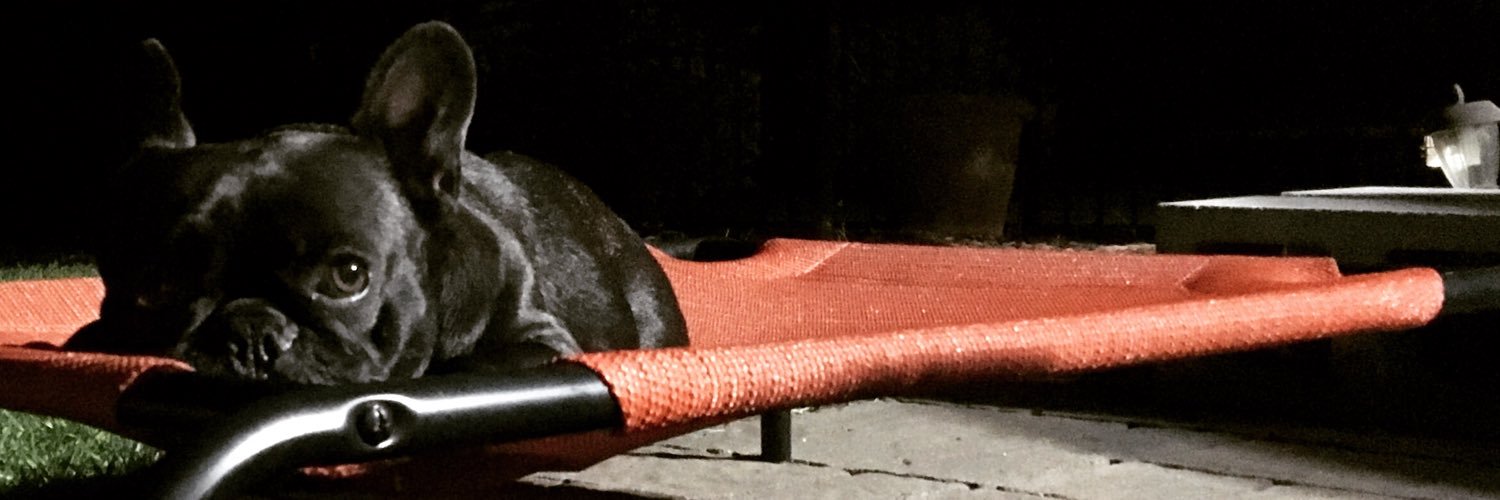 MissChloePaws's profile banner image