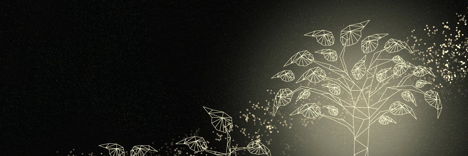 VerusPlus's profile banner image
