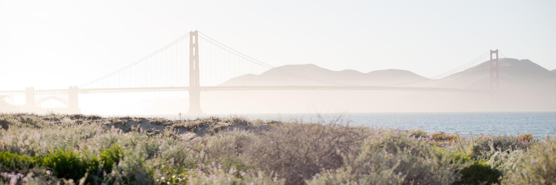 SabrinaGuttman's profile banner image