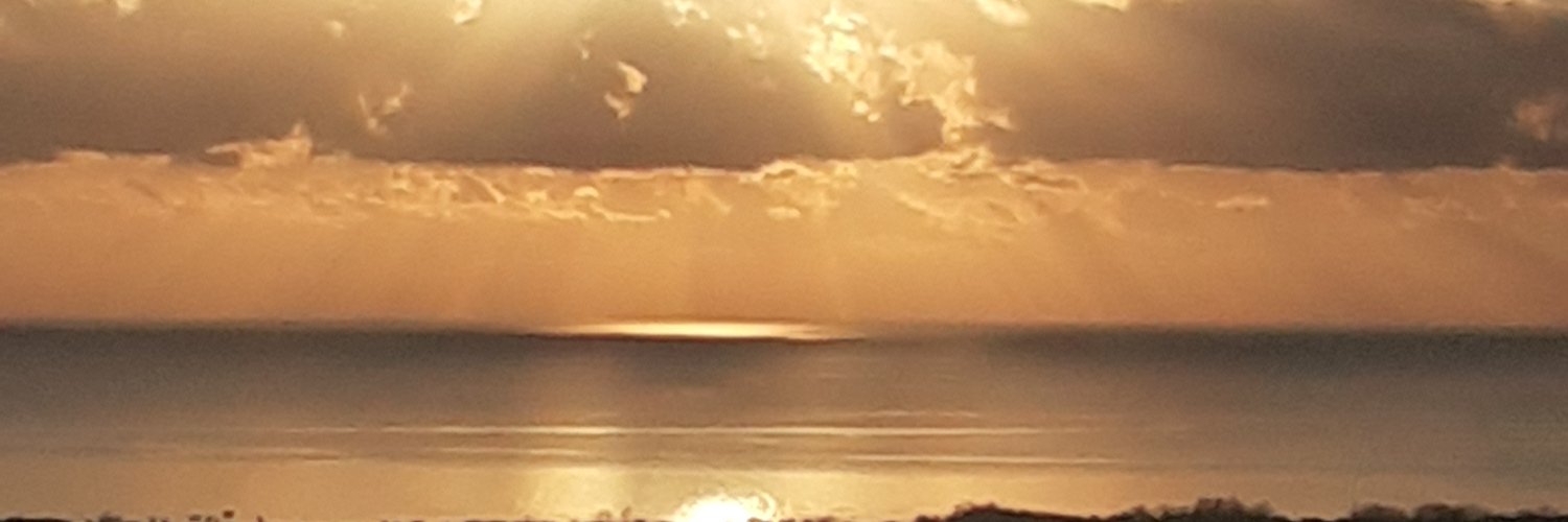 MicheleManescal's profile banner image