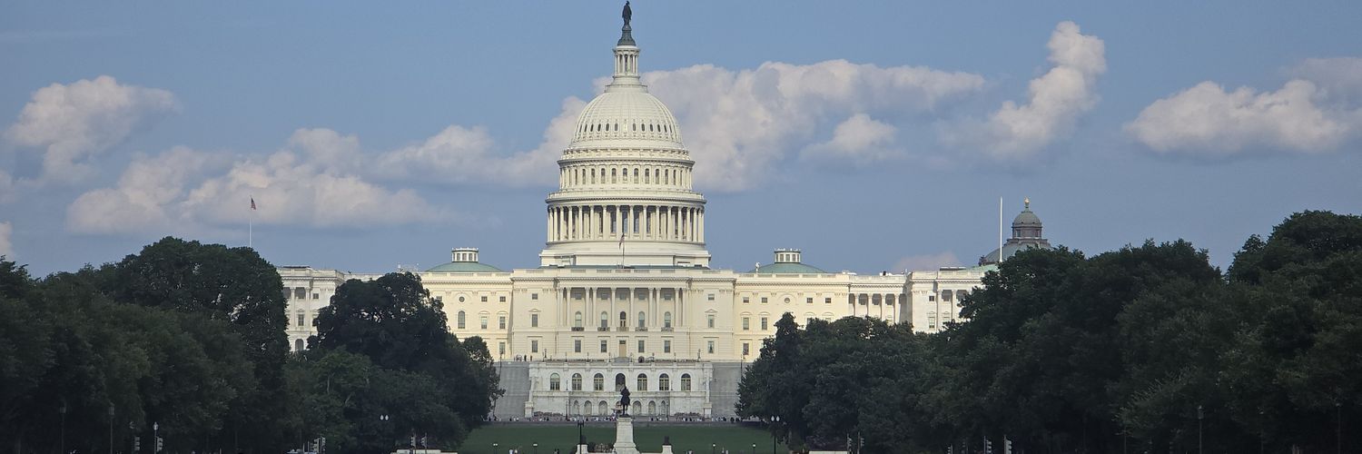 irregardlessly banner