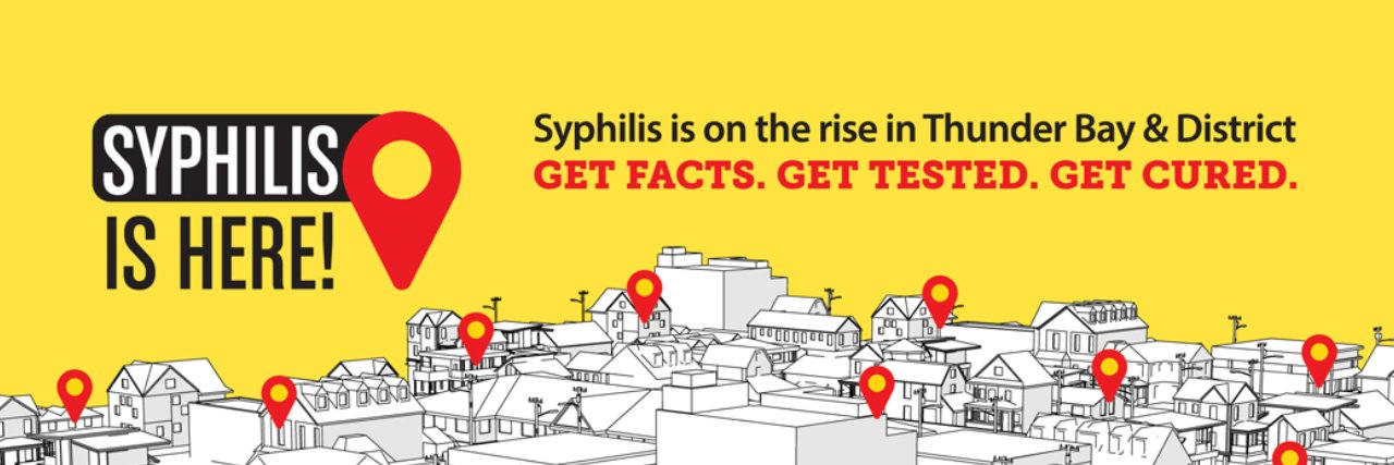 TBay Public Health banner