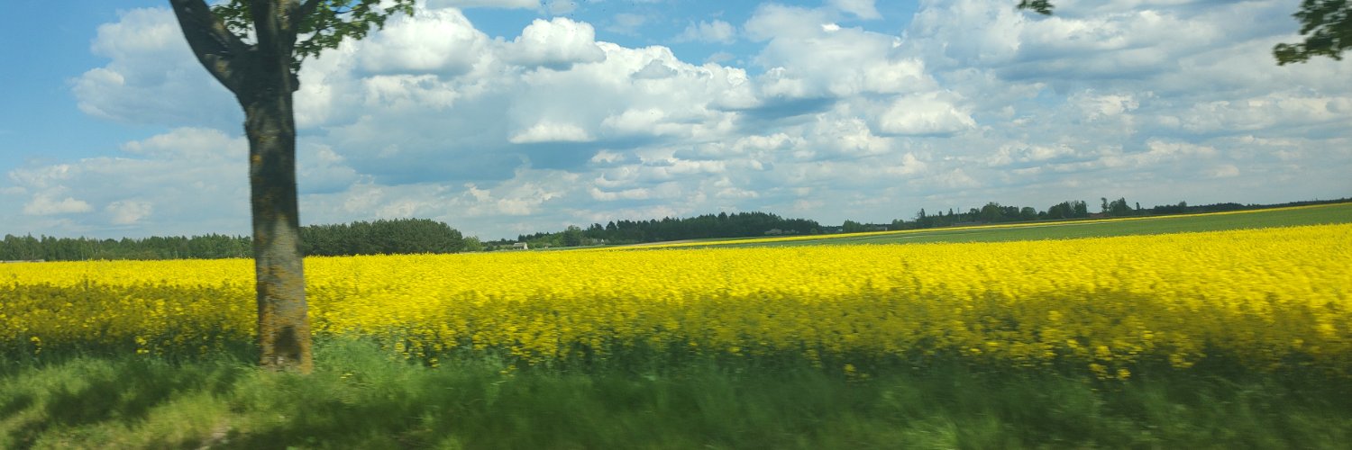 Bat na media (ŁFG) #PosikaniGazem banner