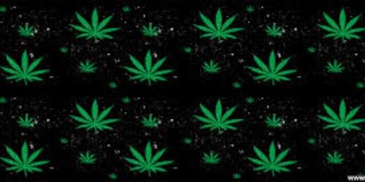 Dr. Stoner THC ™ banner