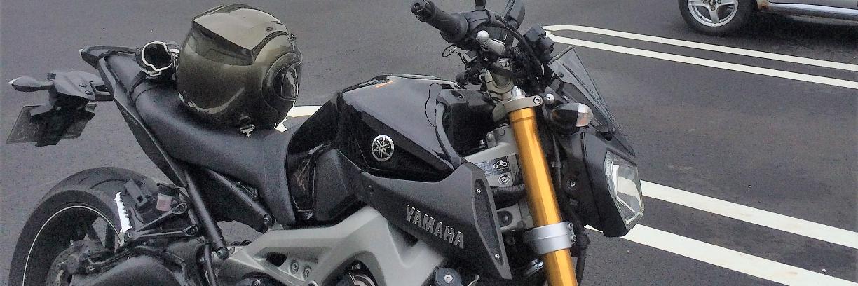 DaiGuard@スパルタンを語れないただのデブ banner