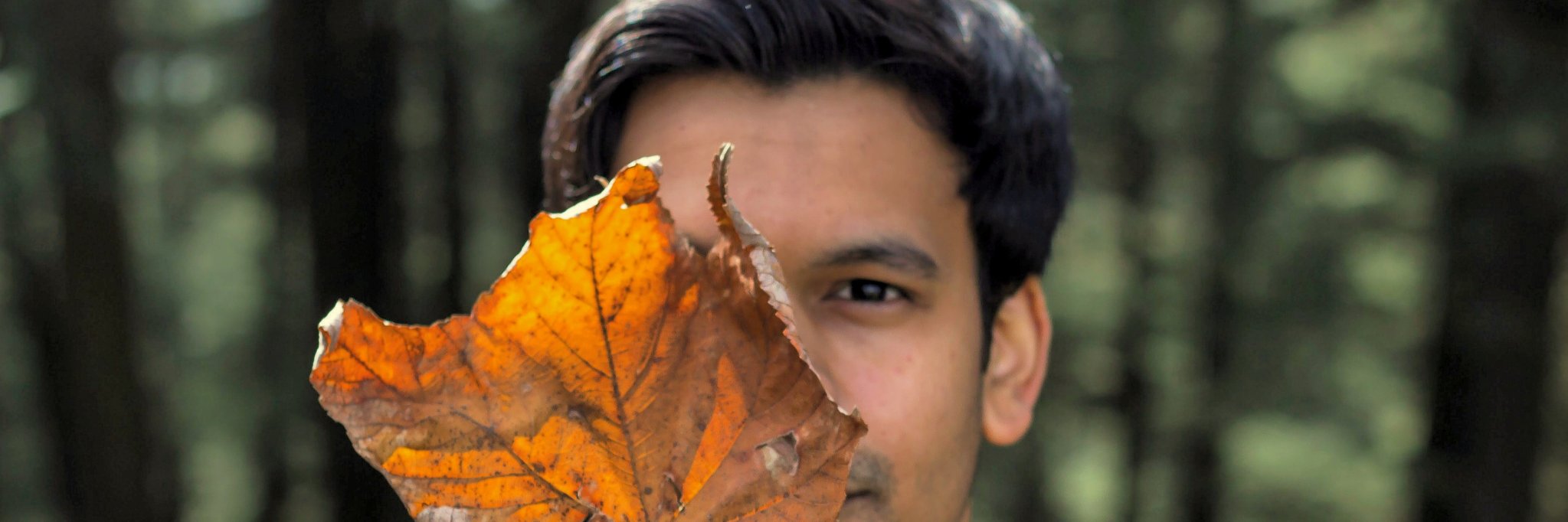 boringbug's profile banner image