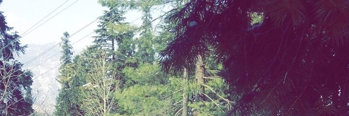 mhamZa484's profile banner image