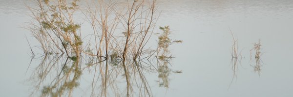 gilat Profile Banner