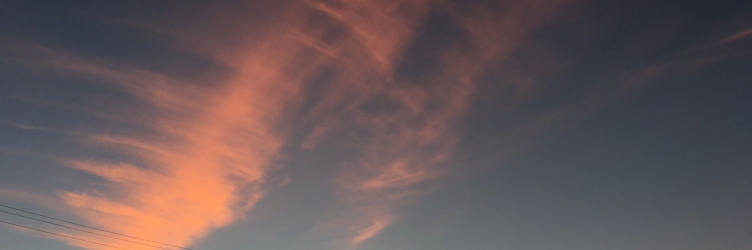 astridwass's profile banner image