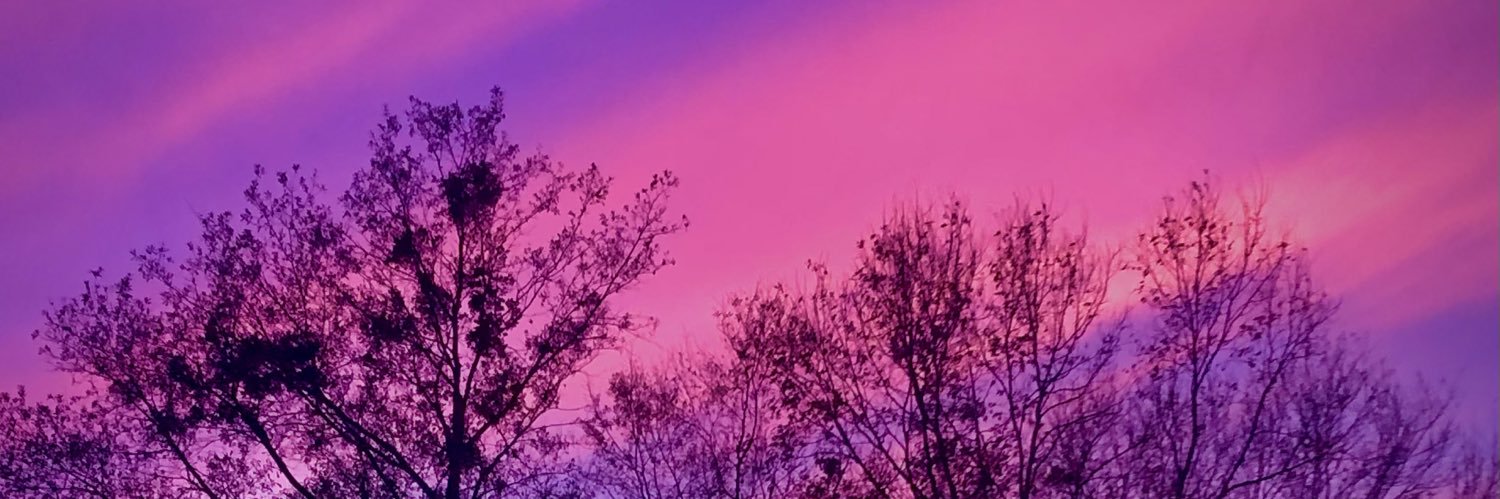 rtopia's profile banner image