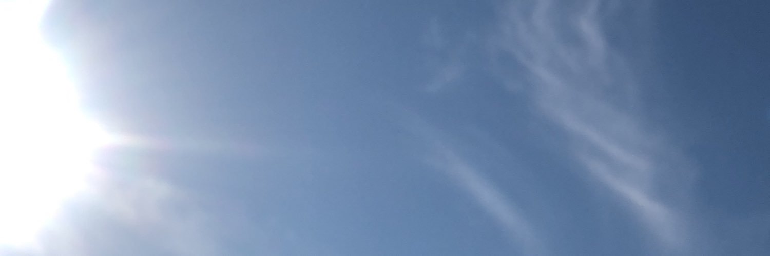 fohaidae0's profile banner image