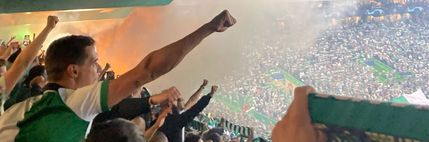 miguelsequeira8's profile banner image