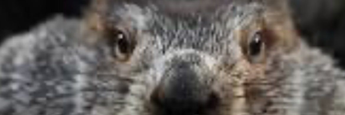 thatmattgreen's profile banner image