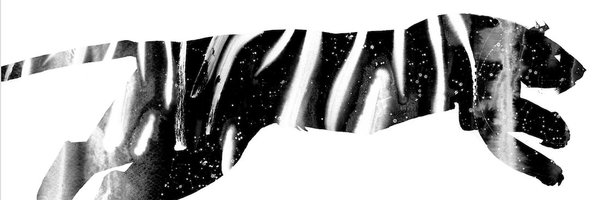 whatSFSaid Profile Banner