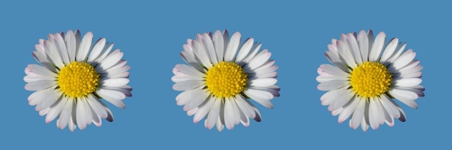 jstutiphoto's profile banner image