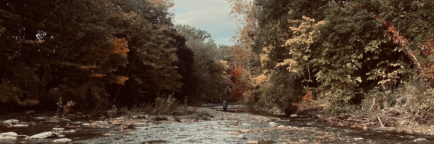 SarahSorber's profile banner image