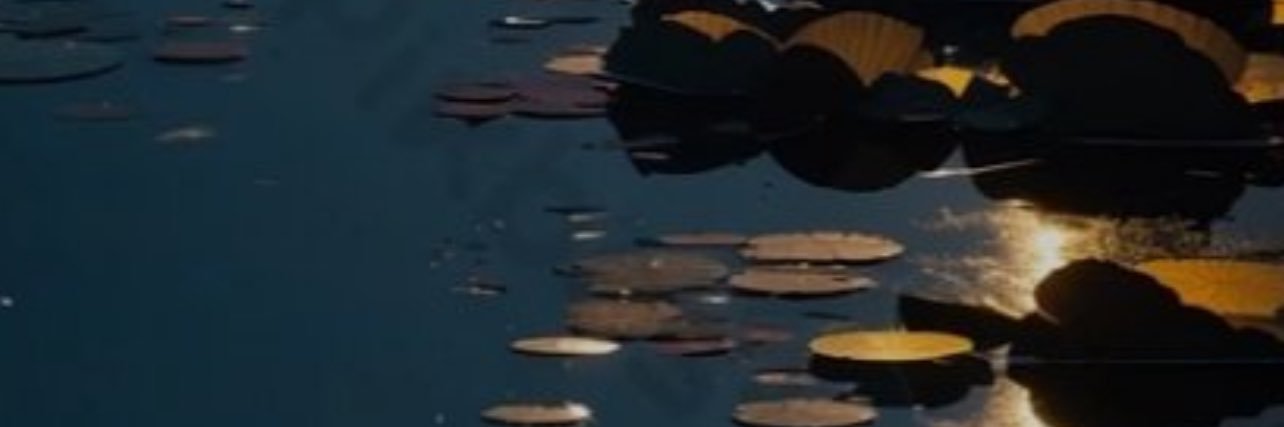 fh_22n's profile banner image