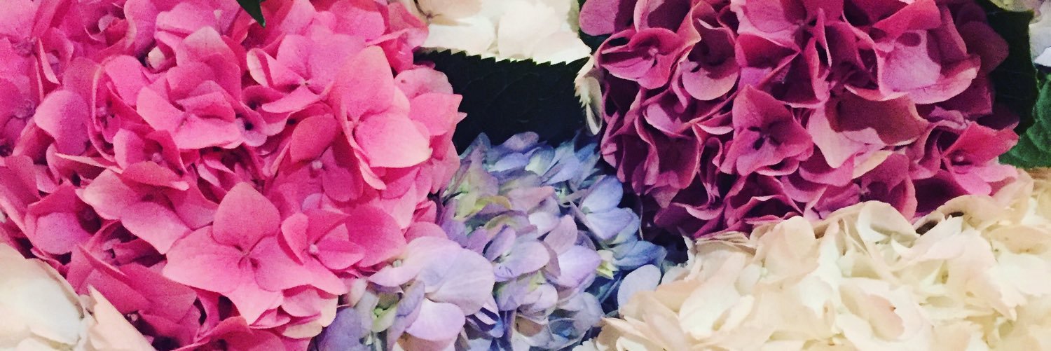 promoashley's profile banner image