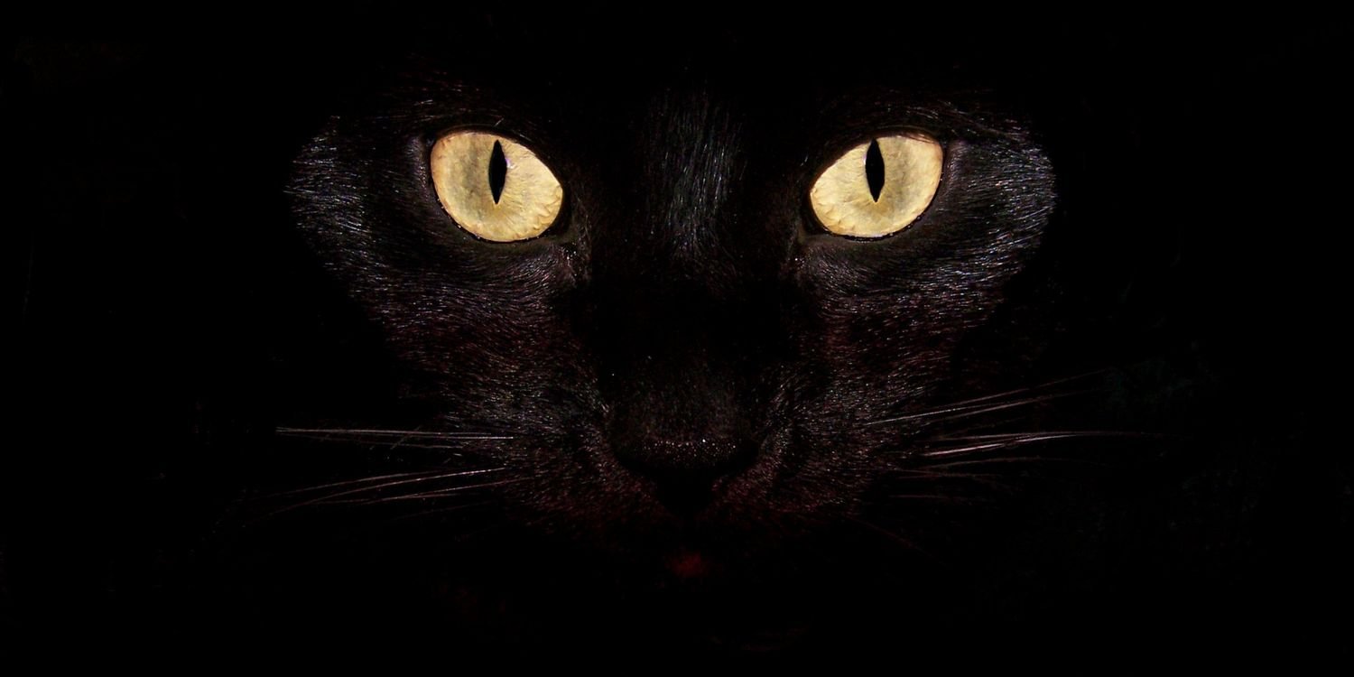 Mervedgn4's profile banner image